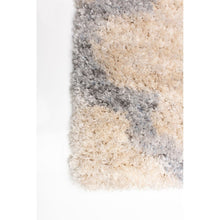 Modern Contemporary Grey Trellis Shag Area Rug