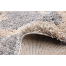 Modern Contemporary Grey Trellis Shag Area Rug