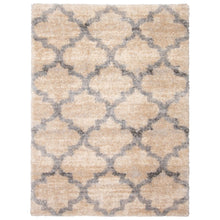 Modern Contemporary Grey Trellis Shag Area Rug