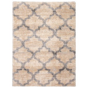 Modern Contemporary Grey Trellis Shag Area Rug