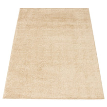 Modern Solid Soft Shag Area Rug - Multiple Colors