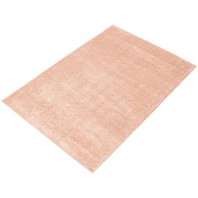 Modern Solid Soft Shag Area Rug - Multiple Colors