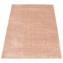 Modern Solid Soft Shag Area Rug - Multiple Colors