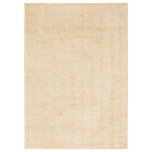 Modern Solid Soft Shag Area Rug - Multiple Colors