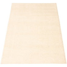 Modern Solid Soft Shag Area Rug - Multiple Colors