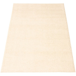 Modern Solid Soft Shag Area Rug - Multiple Colors