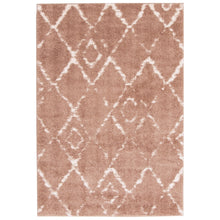 Modern & Contemporary Pink Area Rug Shag