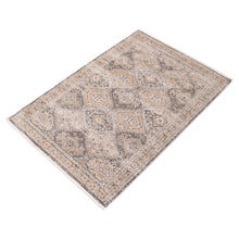 Taupe Bohemian & Eclectic Soft Area Rug