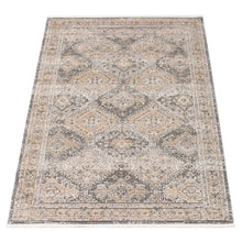 Taupe Bohemian & Eclectic Soft Area Rug