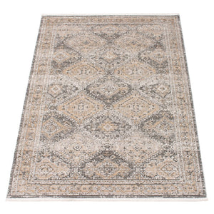 Taupe Bohemian & Eclectic Soft Area Rug