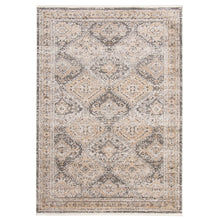 Taupe Bohemian & Eclectic Soft Area Rug