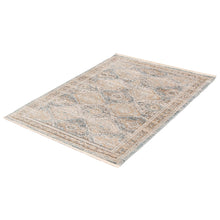 Taupe Bohemian & Eclectic Soft Area Rug