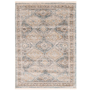 Taupe Bohemian & Eclectic Soft Area Rug