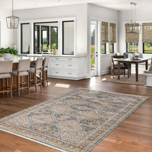 Taupe Bohemian & Eclectic Soft Area Rug