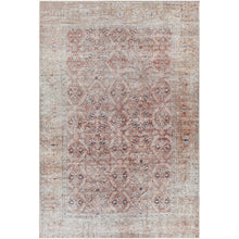 Traditional Floral Machine Washable Area Soft Rug