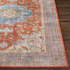 Persian Machine Washable Area Soft Rug