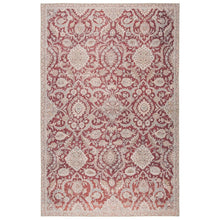 Daley Indoor/Outdoor Red and Grey Oriental Soft Area Rug