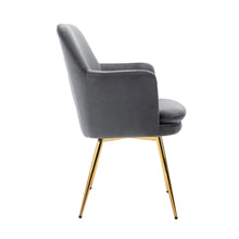Porthos Home Gemma Velvet and Goldtone Metal Accent Chair - Grey
