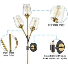 Turin Modern Clear Glass Wall Sconces Brass & Black Bathroom Vanity Lighting, 3-Light - Brass & Black