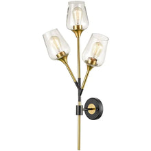 Turin Modern Clear Glass Wall Sconces Brass & Black Bathroom Vanity Lighting, 3-Light - Brass & Black