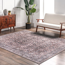 Darcey Machine Washable Traditional Floral Medallion Area Rug